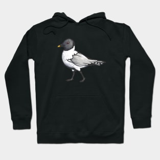 Sabine's Gull Hoodie